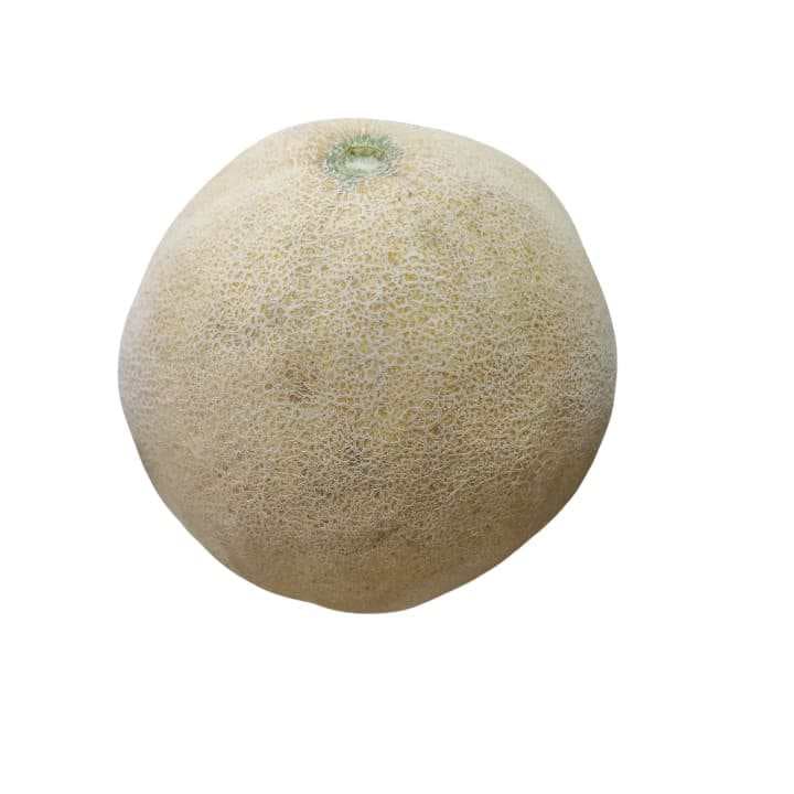 MELON CRIOLLO Kg