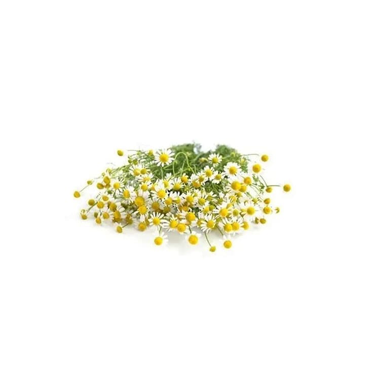 MANZANILLA FRESCA Kg - 1