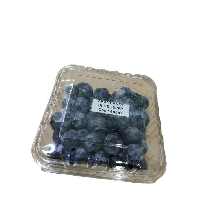 ARANDANO BLUEBERRY 125g